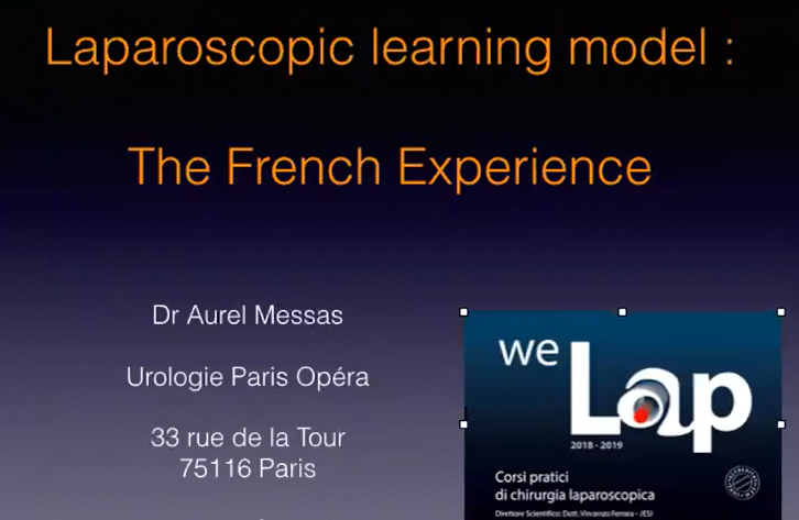 Presentazione "The French Experience"